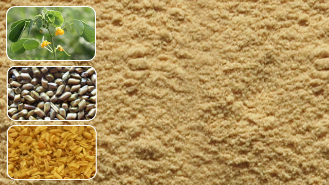 Cassia Gum Powder Export