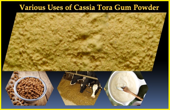 Various Uses of Cassia Tora Gum Powder