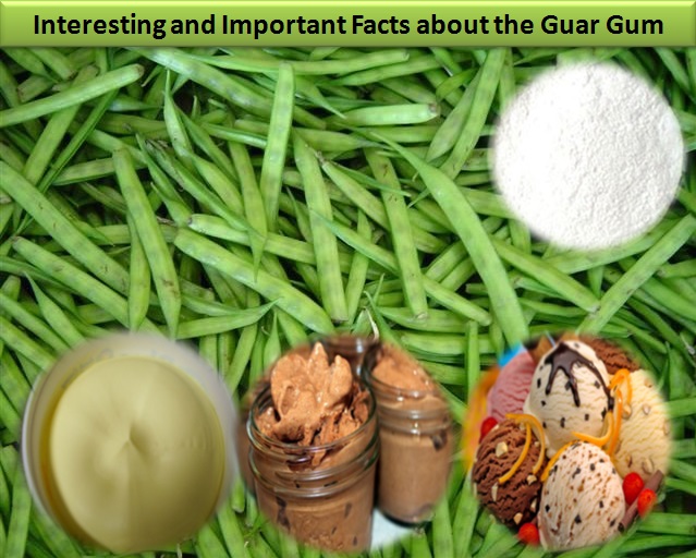 Interesting and important facts about Guar Gum
