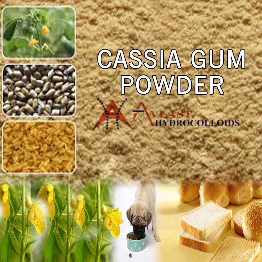 Cassia gum powder