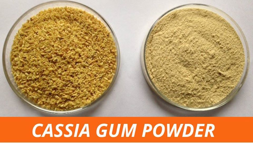 Cassia Gum Powder Alternative for Locust Bean Gum