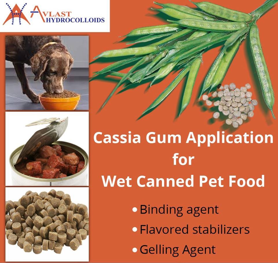 Wet Canned Pet Food