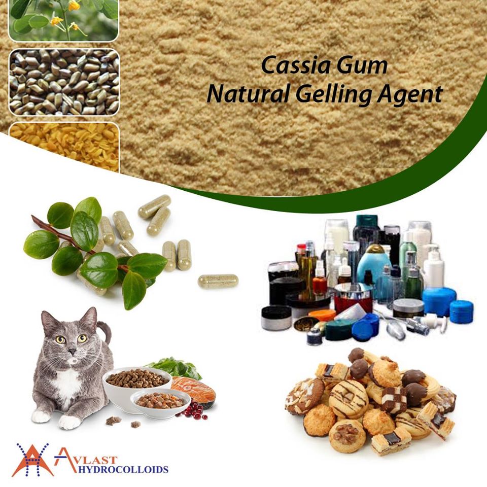 Cassia Gum Natural Gelling Agent