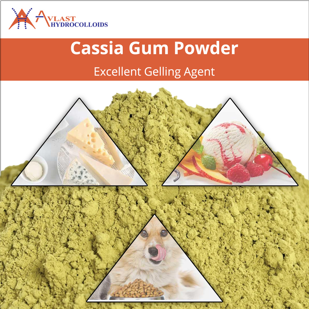 Cassia Gum Powder Excellent Gelling Agent