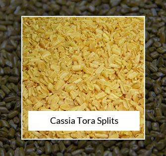 Cassia Tora Spilts