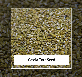 Cassia Tora Seed