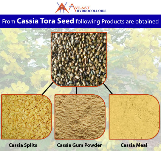 Cassia Splits, Cassia Meal, and Cassia Gum Powder