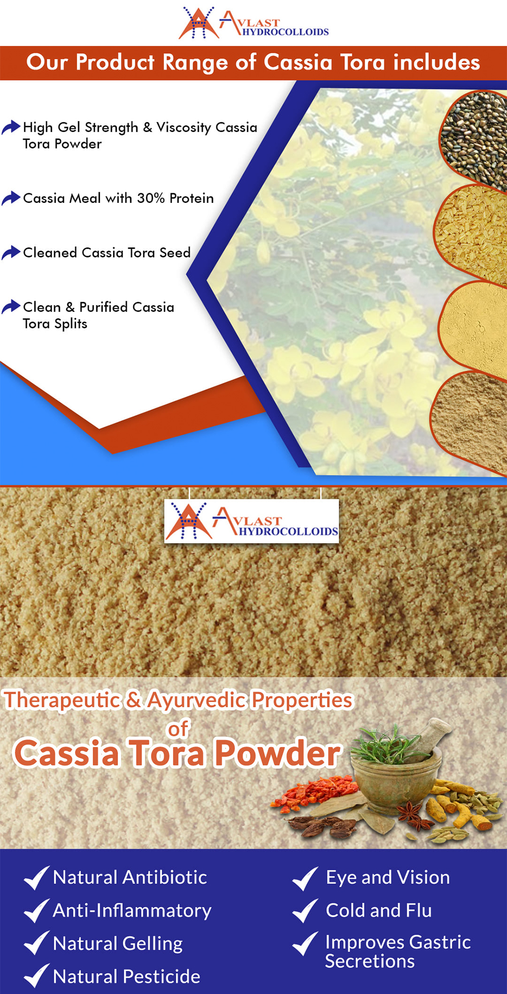 Cassia Tora Powder Applications and Benefits