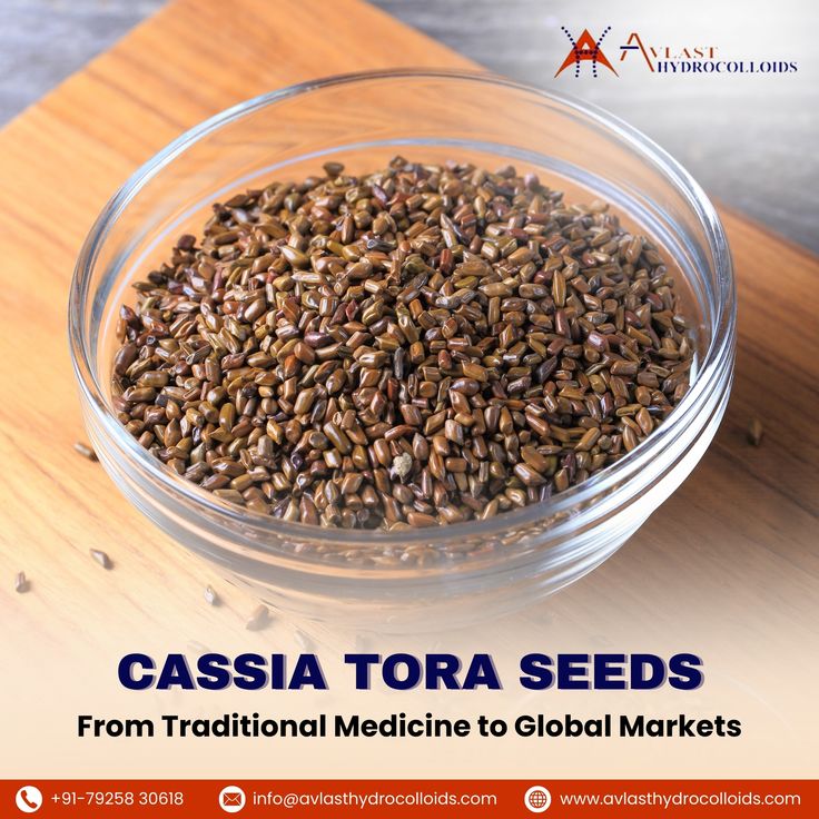 Cassia Tora Seeds From Traditional Medicine to Global Markets