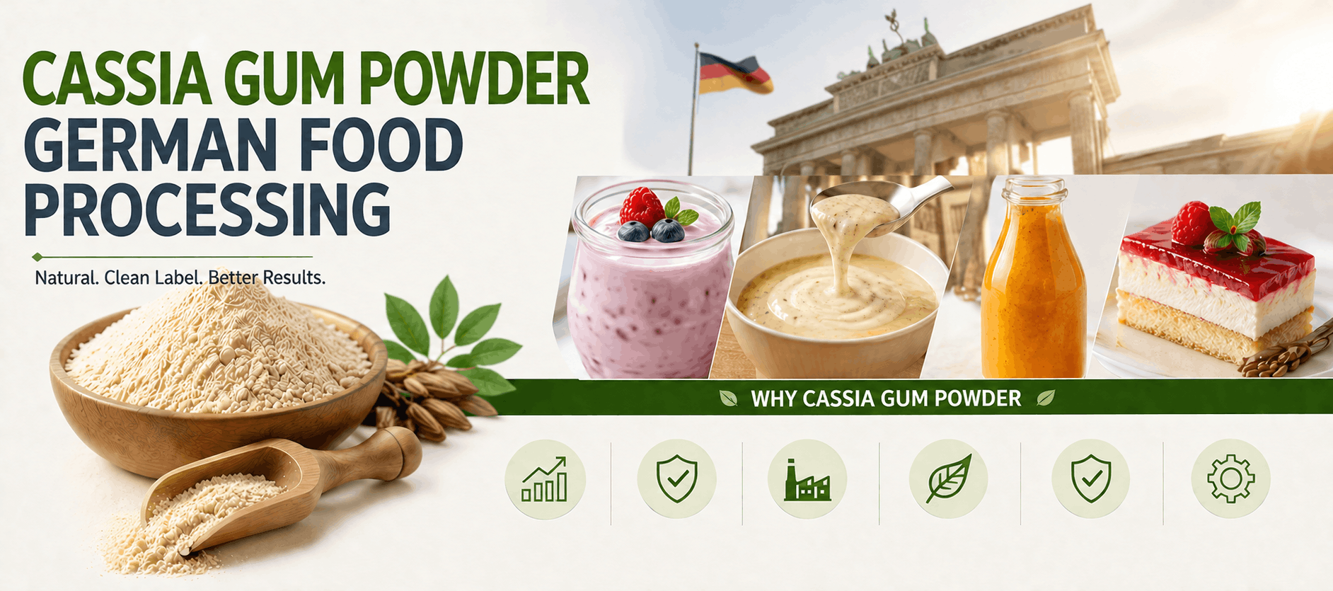Cassia Gum Powder in German Food Processing