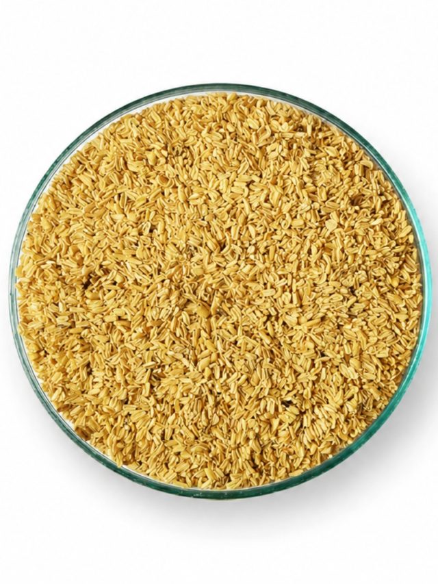 Step by Step Manufacturing Process of Cassia Tora Splits