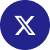 Twitter Icon